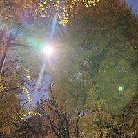 東京連線12/4-12/7