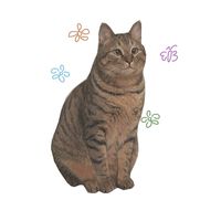 大家一起省錢ᕙ( ˙-˙ )ᕗ