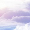 貓戰士-沁雲部落