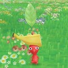 広島のピクミンブルーマー🌱