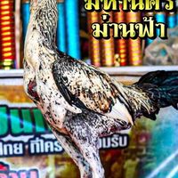 ซุ้ม สุดเขต พัทยา