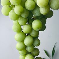 寶媽到處購-2群（水果、團購好物）