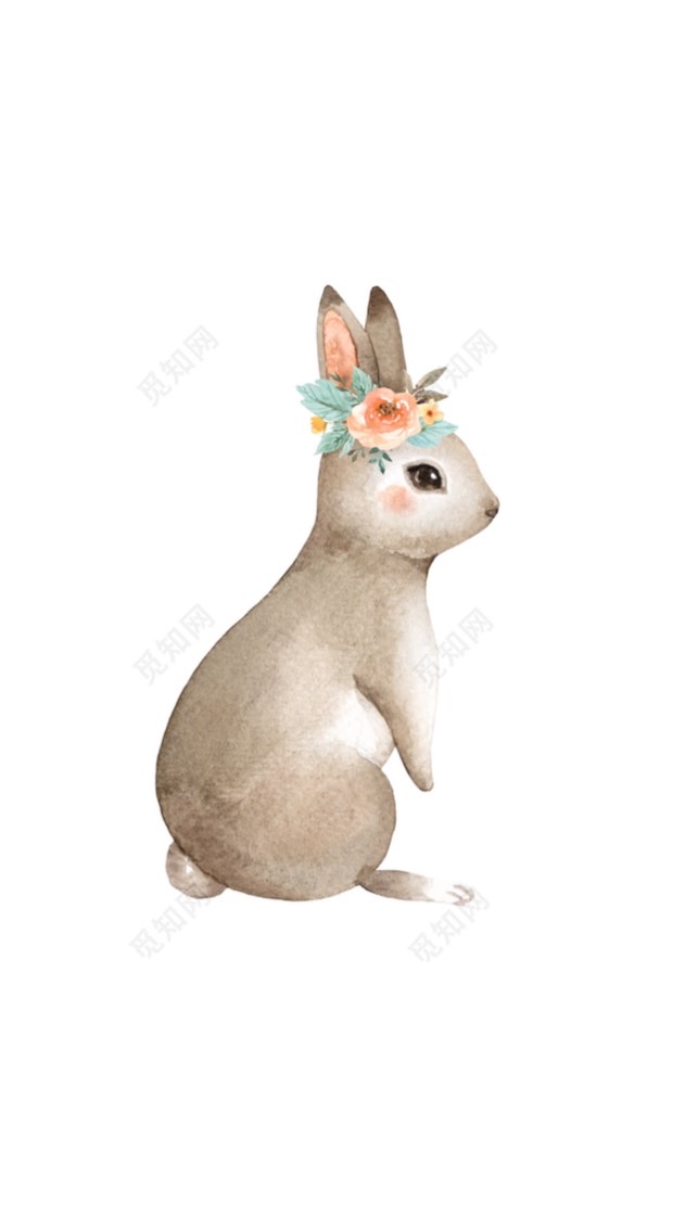 兔寶媽/爸交流🐰
