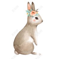 兔寶媽/爸交流🐰
