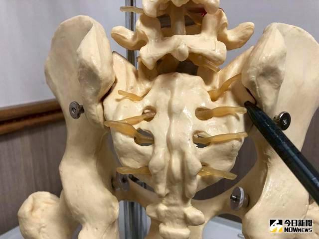 薦髂關節疼痛症候群可經由抬腳壓迫痛點確認 Nownews 今日新聞 Line Today