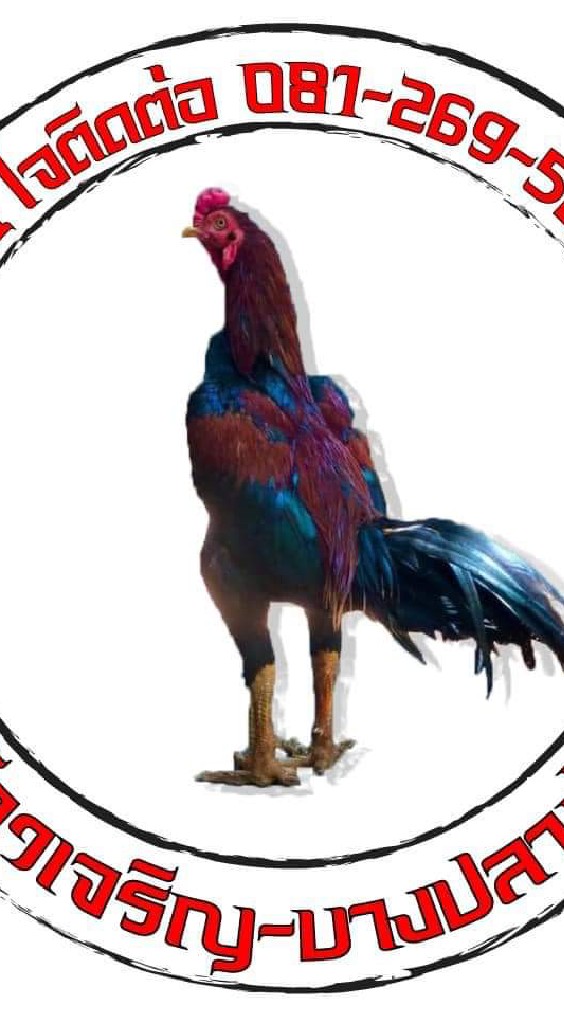 ก้าวเจริญบางปลาม้า🐓