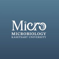 MicroKU (Bangkhen)