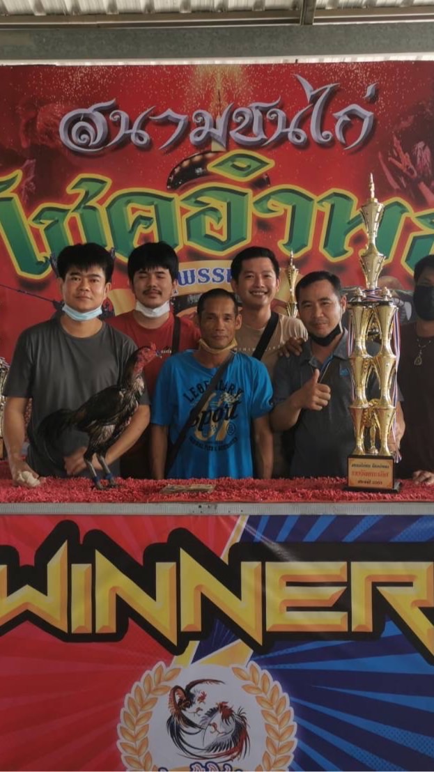 🐓เพชรชมพู🐓