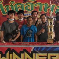 🐓เพชรชมพู🐓