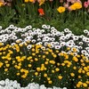🌸自分の魅力と秘めた才能を輝かせるART教室🌸✨
