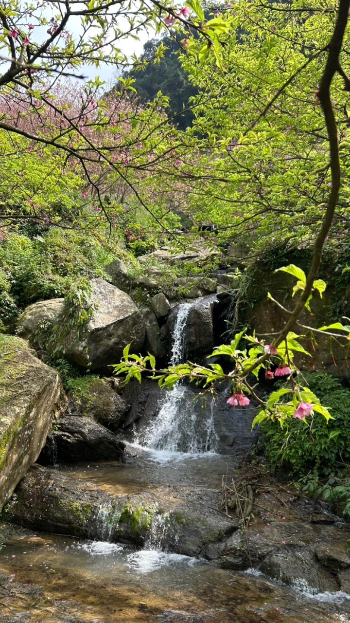 基金房產小天地