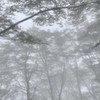 静かな部屋（サブ部屋は自由会話用）
