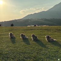 .24.7.20 新竹教學活動