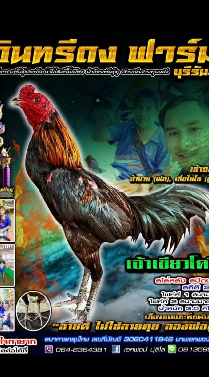 ไมโล ซุ้ม อินทรีดง ฟาร์ม บุรีรัมย์