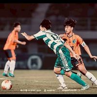 ด้อมปอโต้3ตัว200