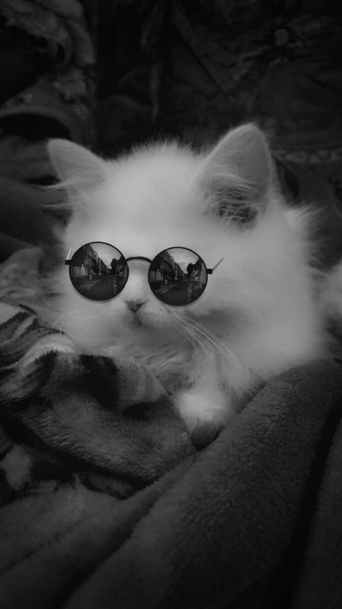 第5人格、恋バナ、雑談、相談乗って