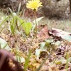 第5人格、恋バナ、雑談、相談乗って