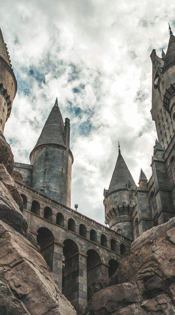 Hogwarts University