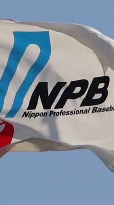 新㊗️NMB〜日米野球なりきり機関 （2代目）⚾️NMB系列〜世界野球なりきり機関⚾️