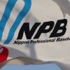 新㊗️NMB〜日米野球なりきり機関 （2代目）⚾️NMB系列〜世界野球なりきり機関⚾️