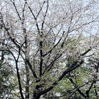 令和6年戸山高校1年D組保護者