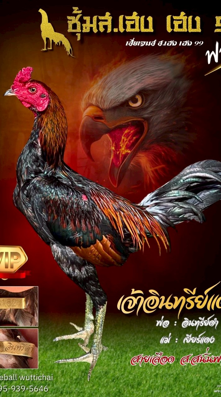 ซุ้ม ส.เฮง เฮง99🐔