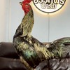แบ่งปันไก่หนุ่มสายเลือดดีราคารากหญ้า