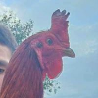 เพื่อนพี่น้องชาวไก่ชน