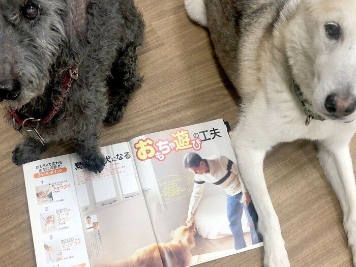 3頭のパートナー ドッグが教えてくれた うちのコにじゅうまる 連載 西川文二の 犬ってホントは Vol 128 いぬのきもちnews