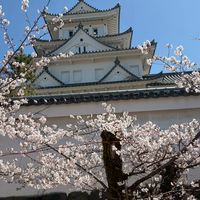 🌸岐阜🌸愛知🌸三重🌸30代からのわいわい楽しむお部屋