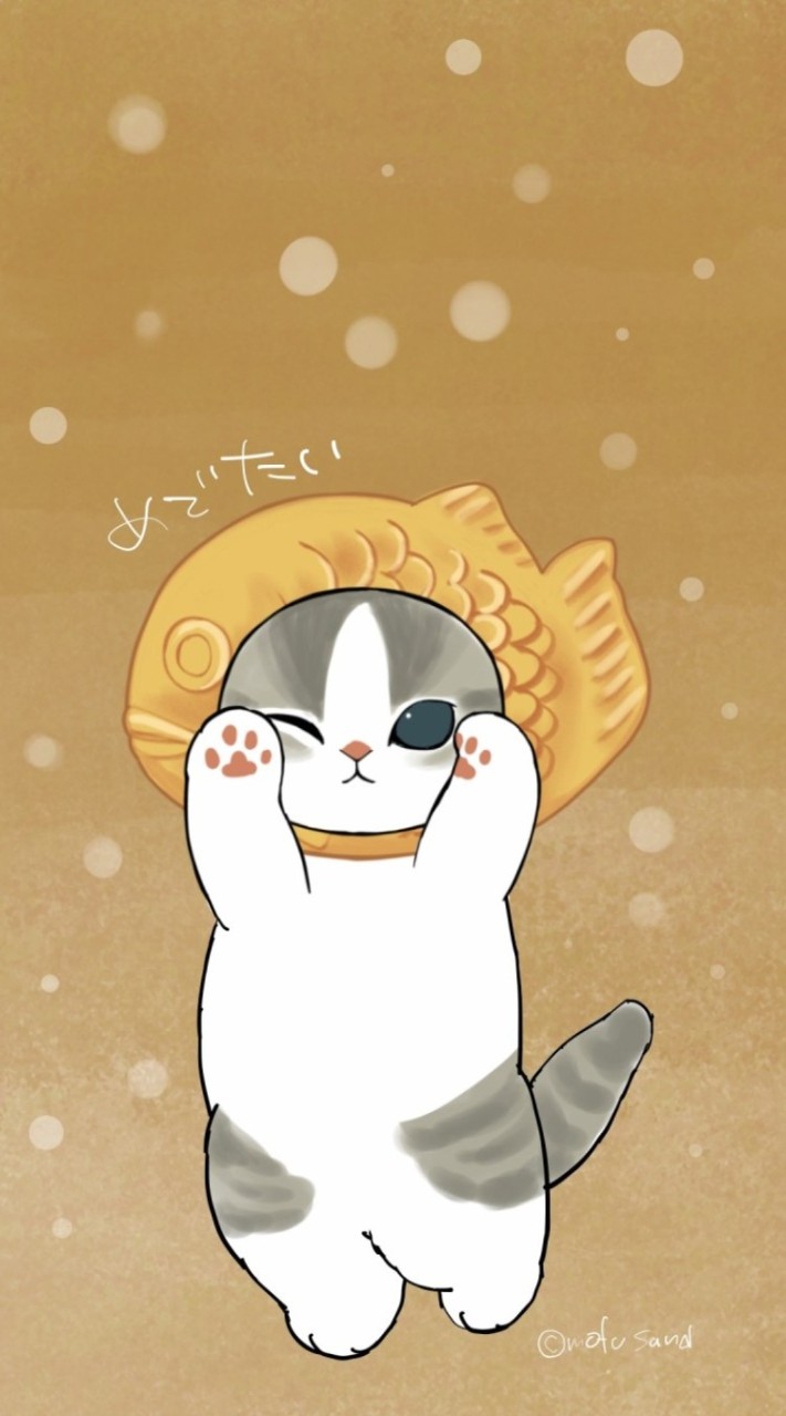 キンカオ坊やファン