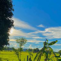 แชร์รูปกันน