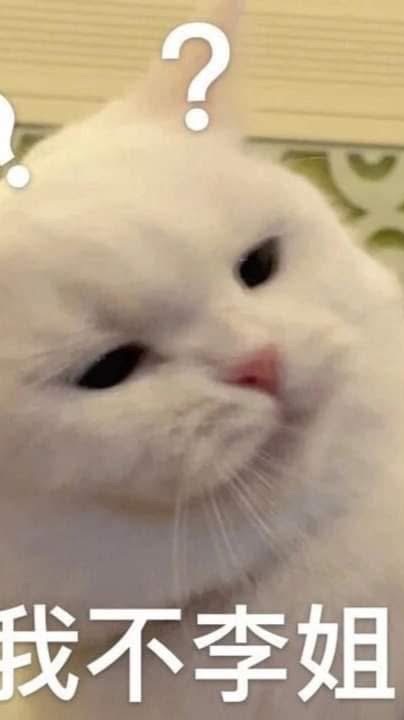 手機該充電了🪫