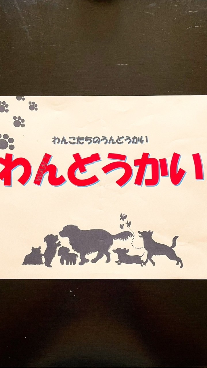 10/28 わんどうかい🐶写真館