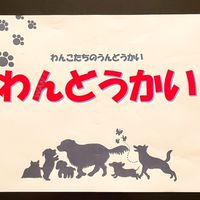 10/28 わんどうかい🐶写真館