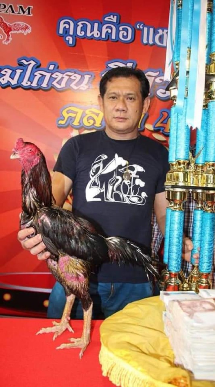 กลุ่มประมูลไก่ซุ้มโล่​ห์เงิน​ ดาบเอ๋