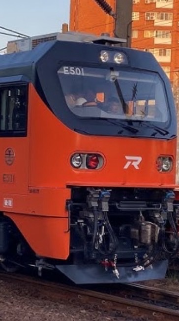 E500(胡蘿蔔🥕）