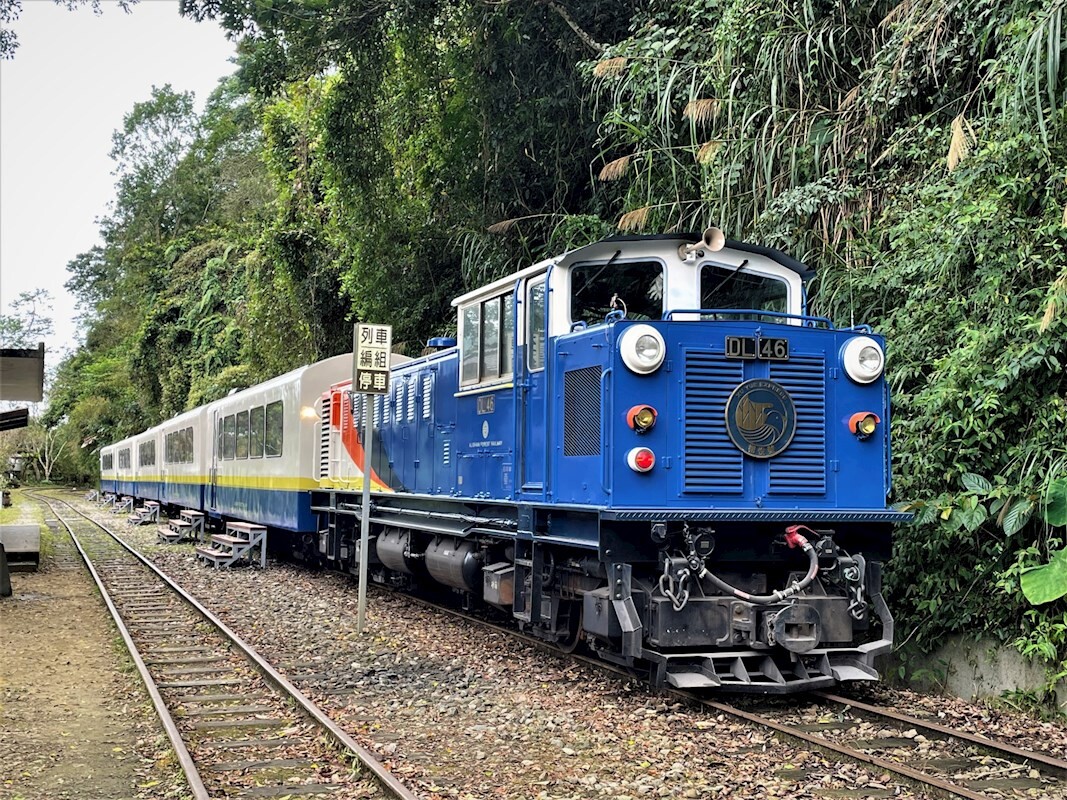 阿里山全新鐵路列車「栩悅號」登場！大片玻璃窗美景盡收眼底，預計明年4月發車