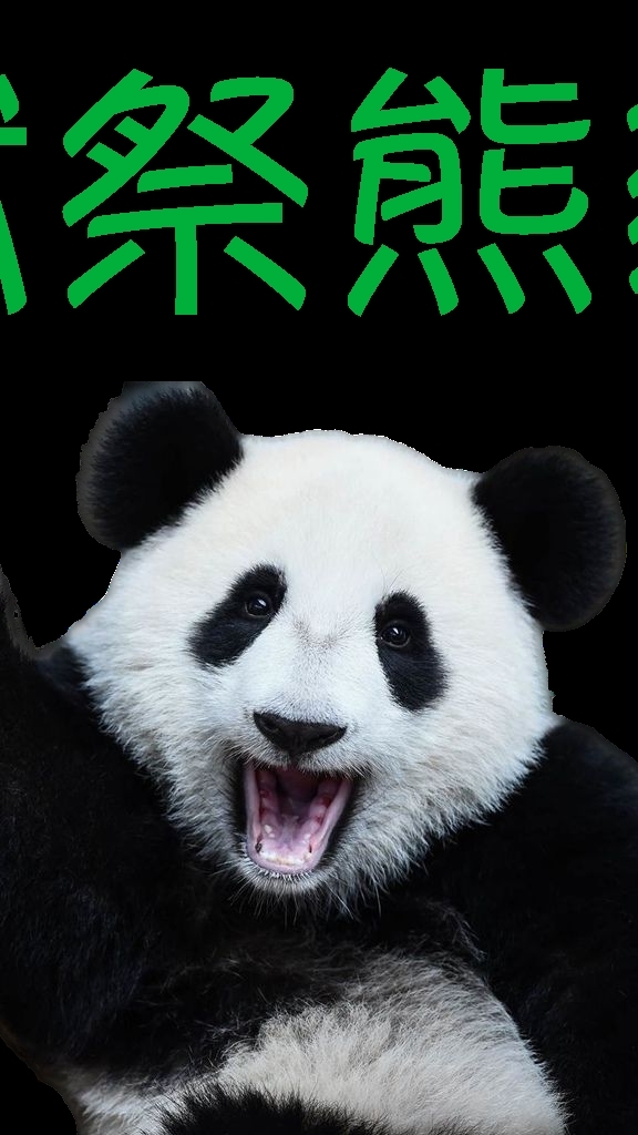 不定時斷線有限公司
