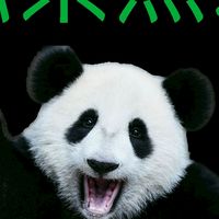 不定時斷線有限公司