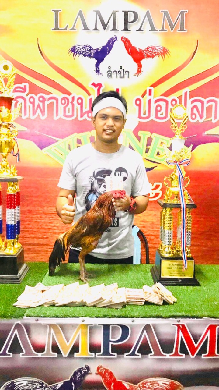 🏆ซุ้มไก่ชน  เพชรเชียงแสน🏆