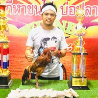 🏆ซุ้มไก่ชน  เพชรเชียงแสน🏆