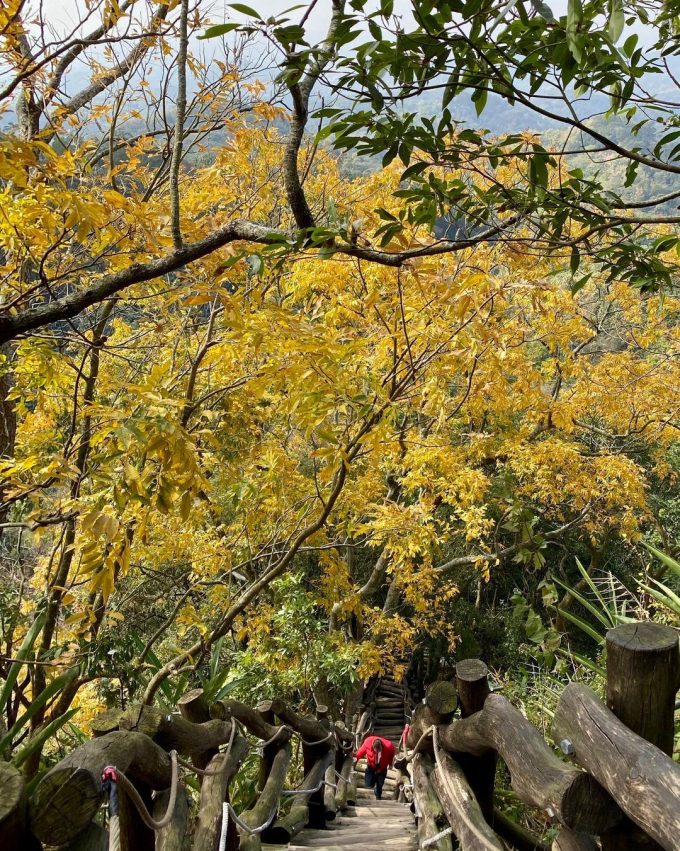 大坑步道景點　大坑風景區