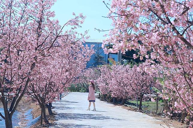 （圖片來源／IG @3more_hi4）