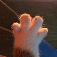 แวะเอาใจมาพักแล้วแลกเพลงเพราะ ๆ ไปฟังกันนะคะ