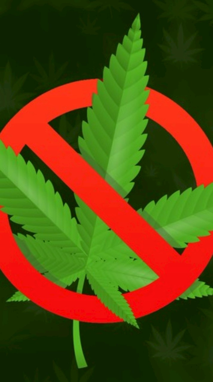 เลิกกัญเถอะ by Big-G v.2