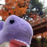 歌が上手くなりたい中高生おいで！！