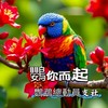 鸚你而起の鸚鵡總動員支社