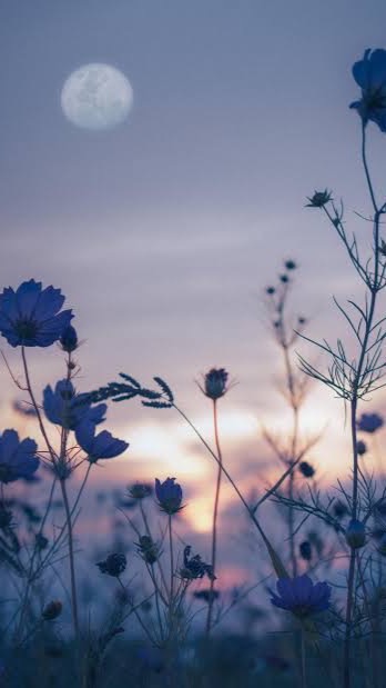 歌い手準備中の人集まろ！友達作ろ！