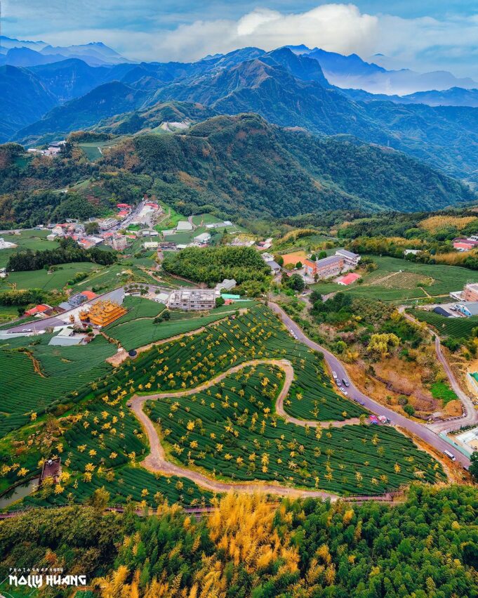 嘉義阿里山頂石槕步道群